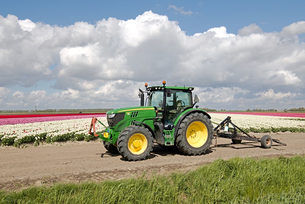 tulp tulpen tulipa natuur hdr tulpenbol liliaceae flora bloem bloemen voorjaar lente tulpenfestival keukenhof festival